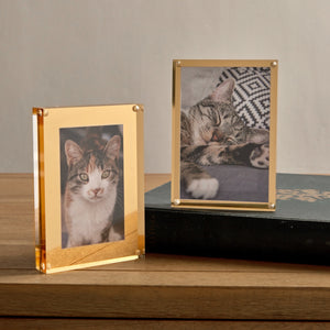 Acrylic + Gold Picture Frame - 3.5 x 5 inches russell+hazel Acrylic Organization