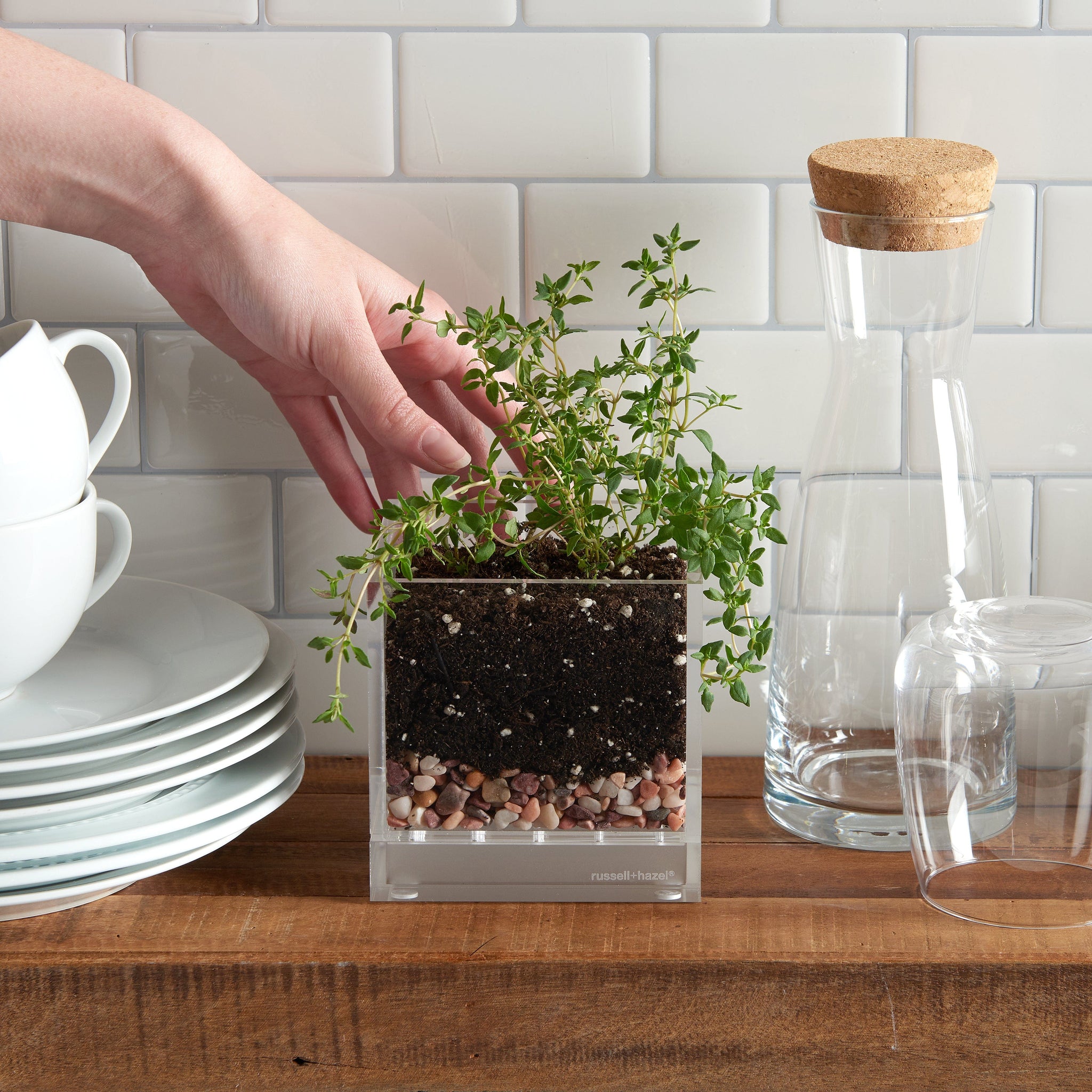 acrylic plant pots russell+hazel Acrylic Planter - Clear