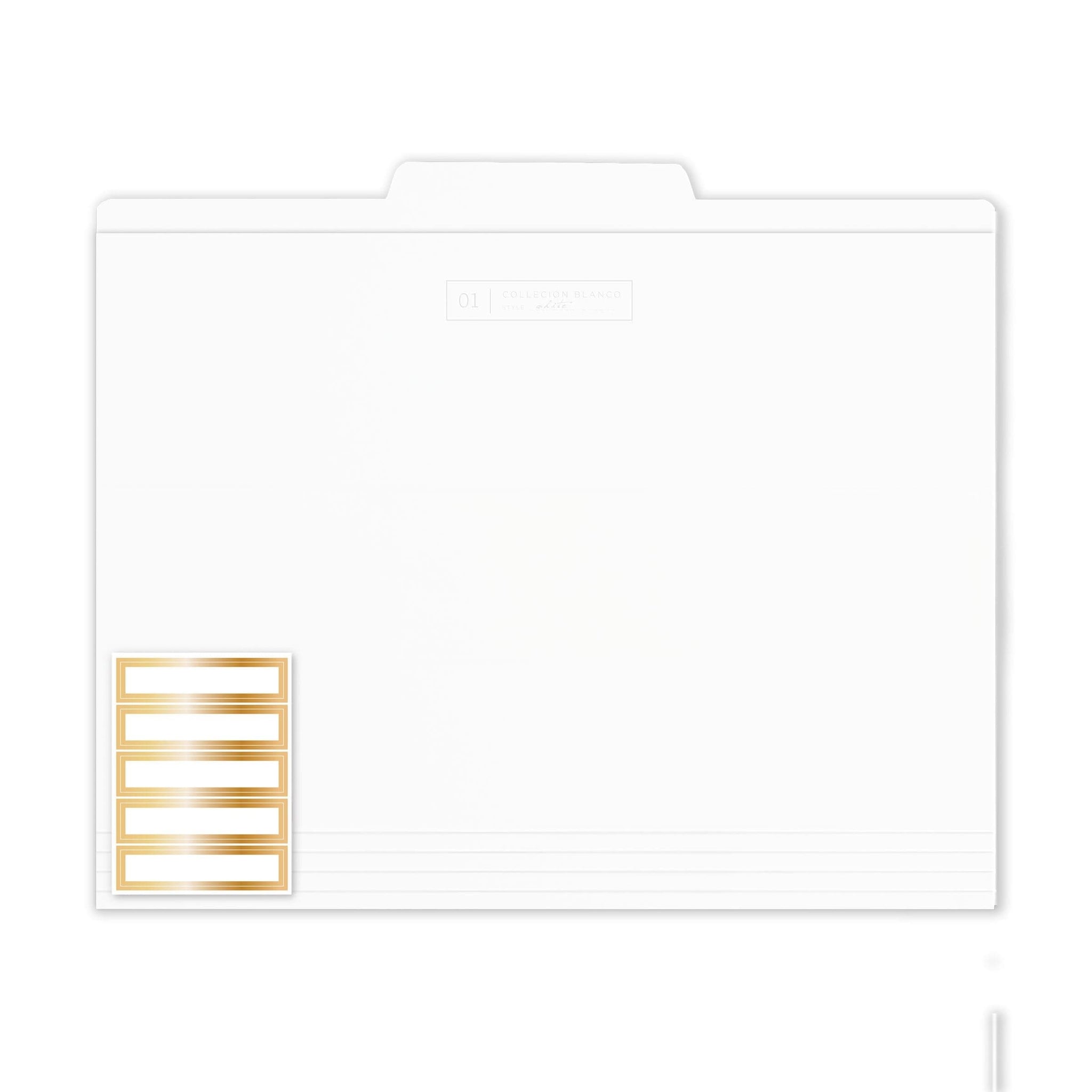 File Box Bundle Acrylic File Box Bundle | russell+hazel
