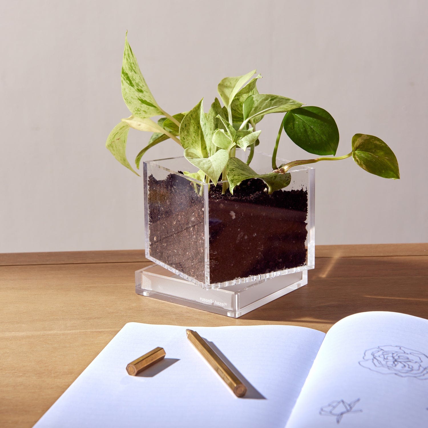 acrylic pots for plants russell+hazel Acrylic Planter - Clear