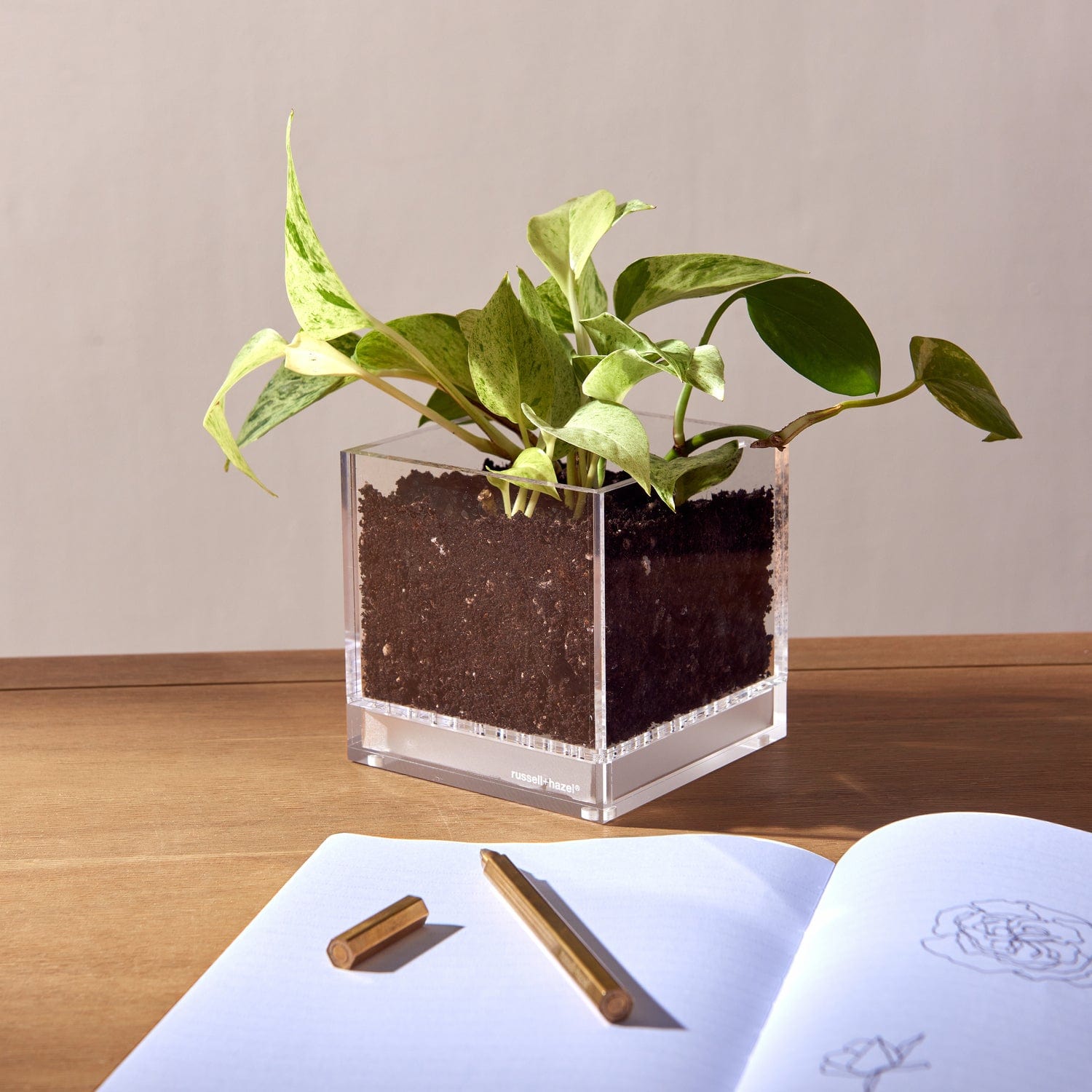 transparent plant pot russell+hazel Acrylic Planter - Clear